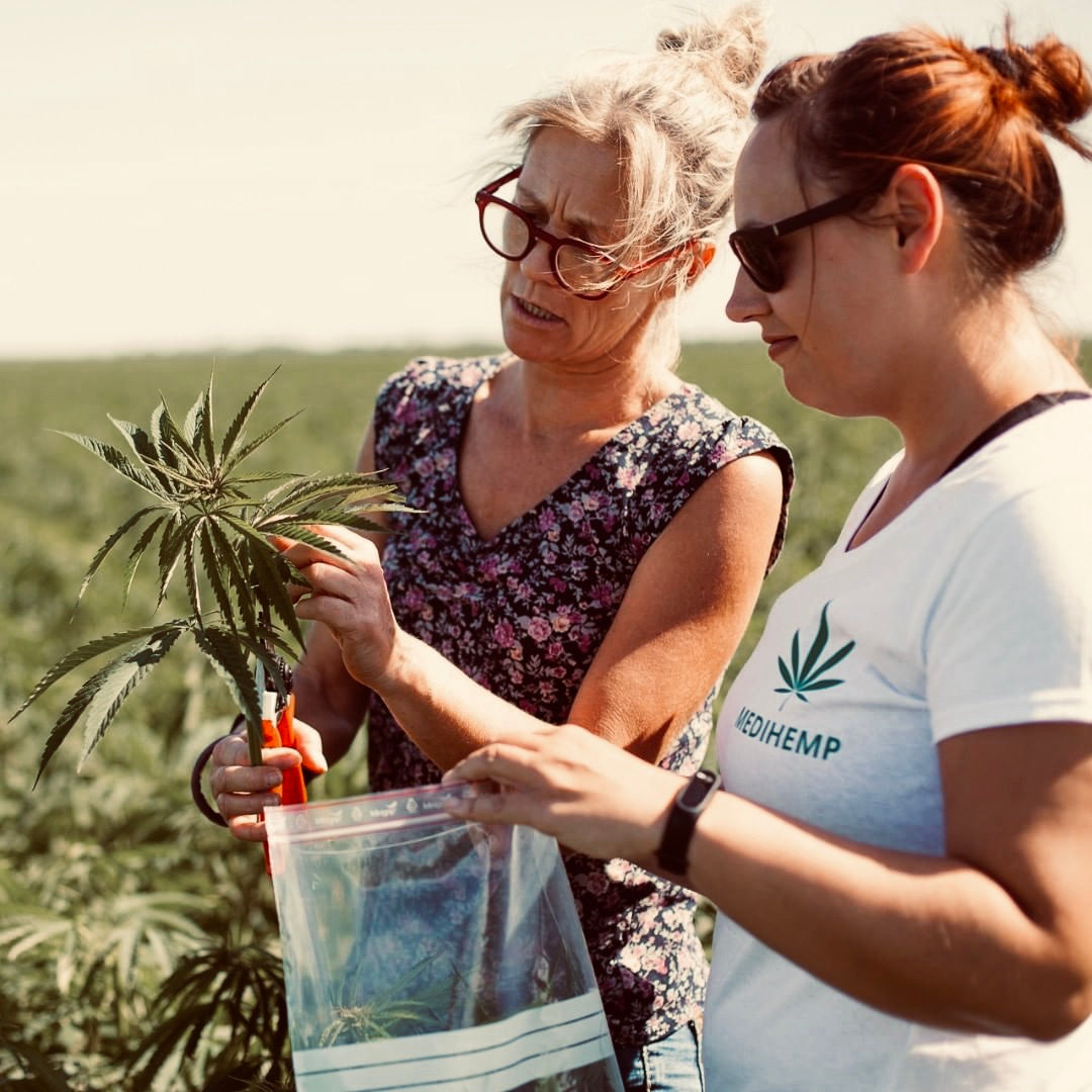 Medihemp de kracht van een ambacht
