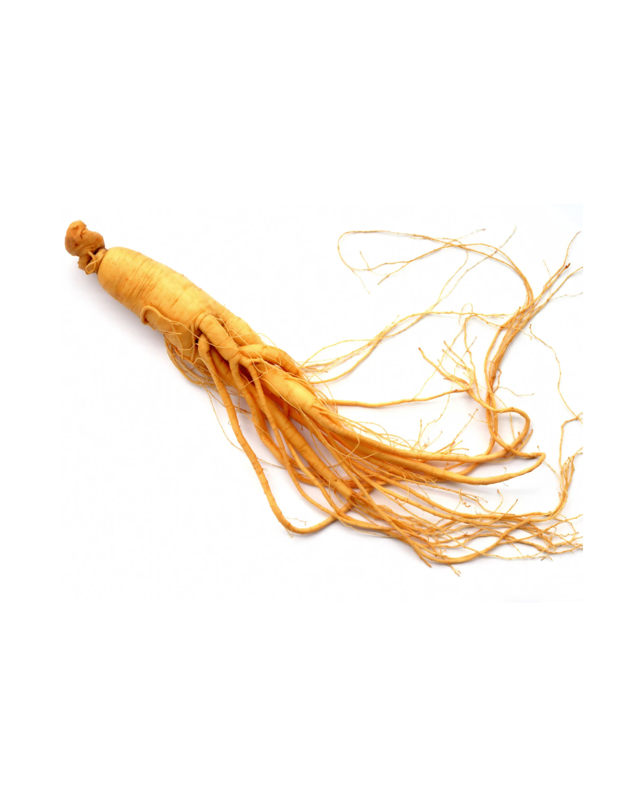 Ginseng