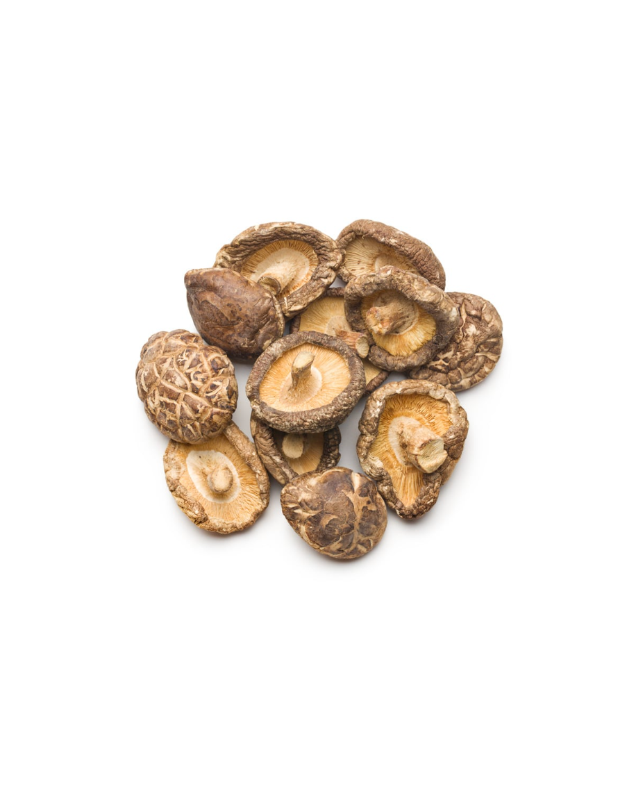 Shiitake