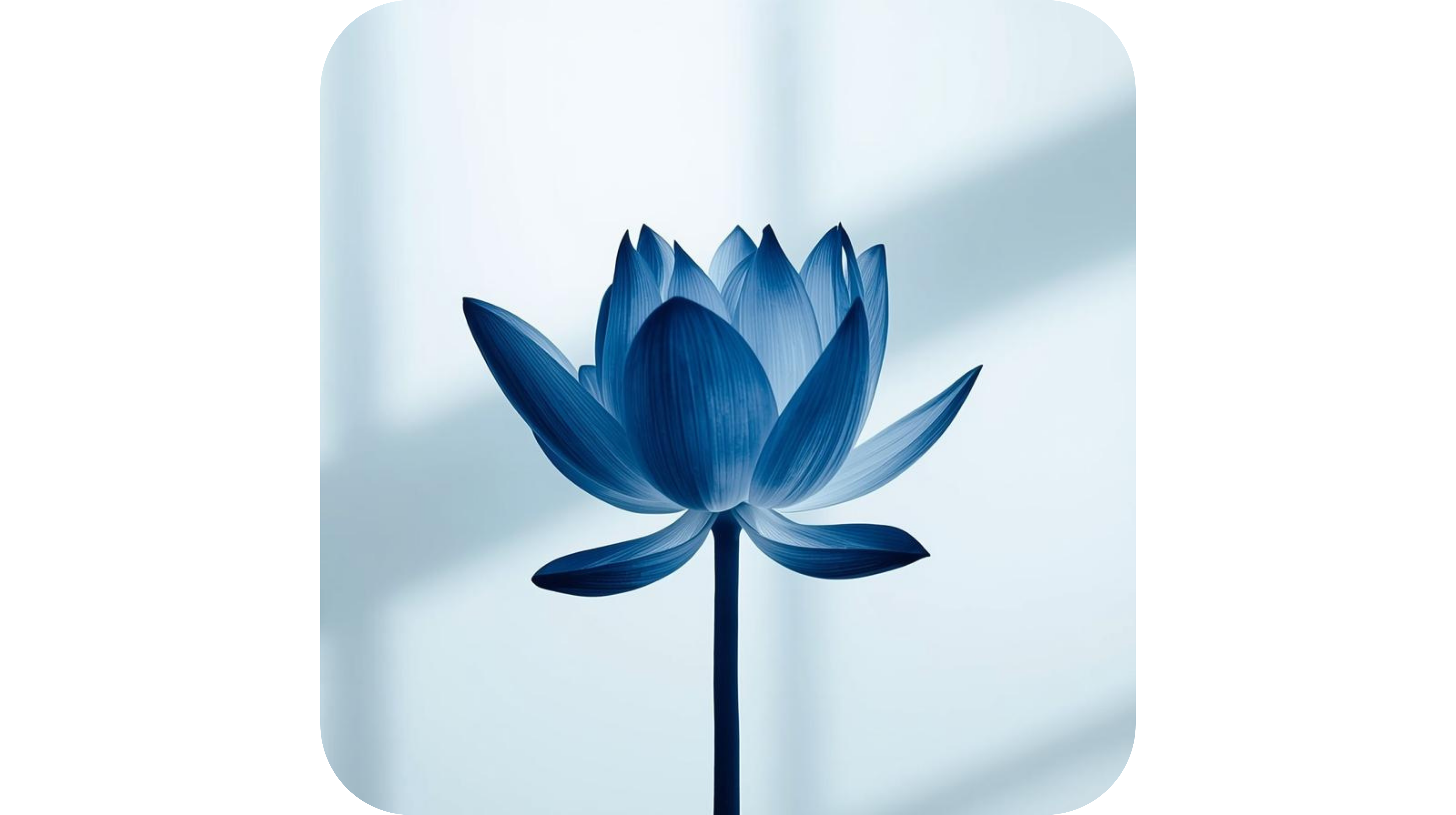 Blue Lotus