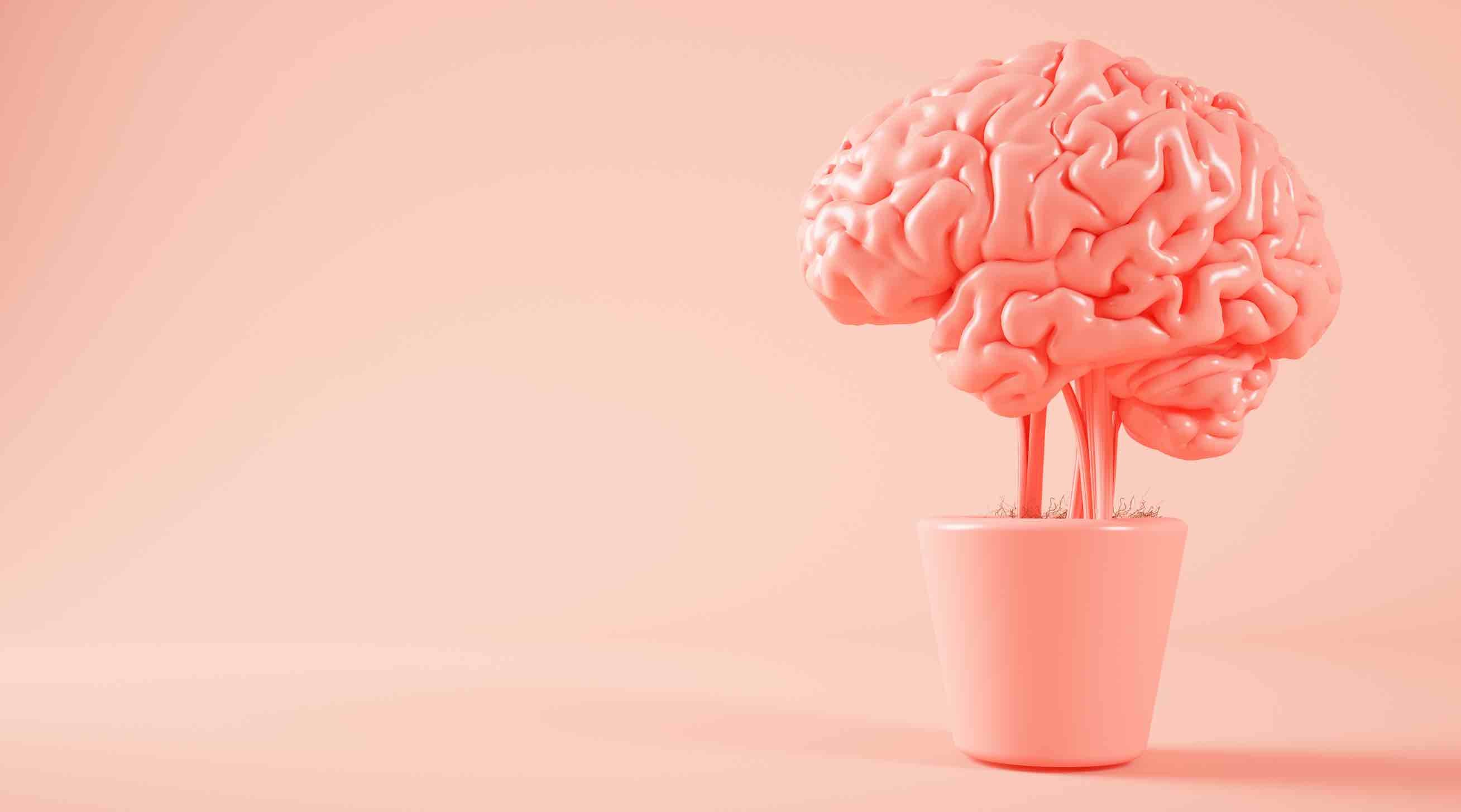 effects of theanine