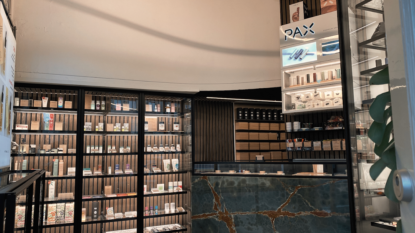 Amsterdam Wellness Insider November