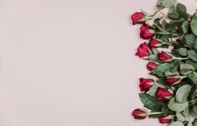 Valentines Day Bundles