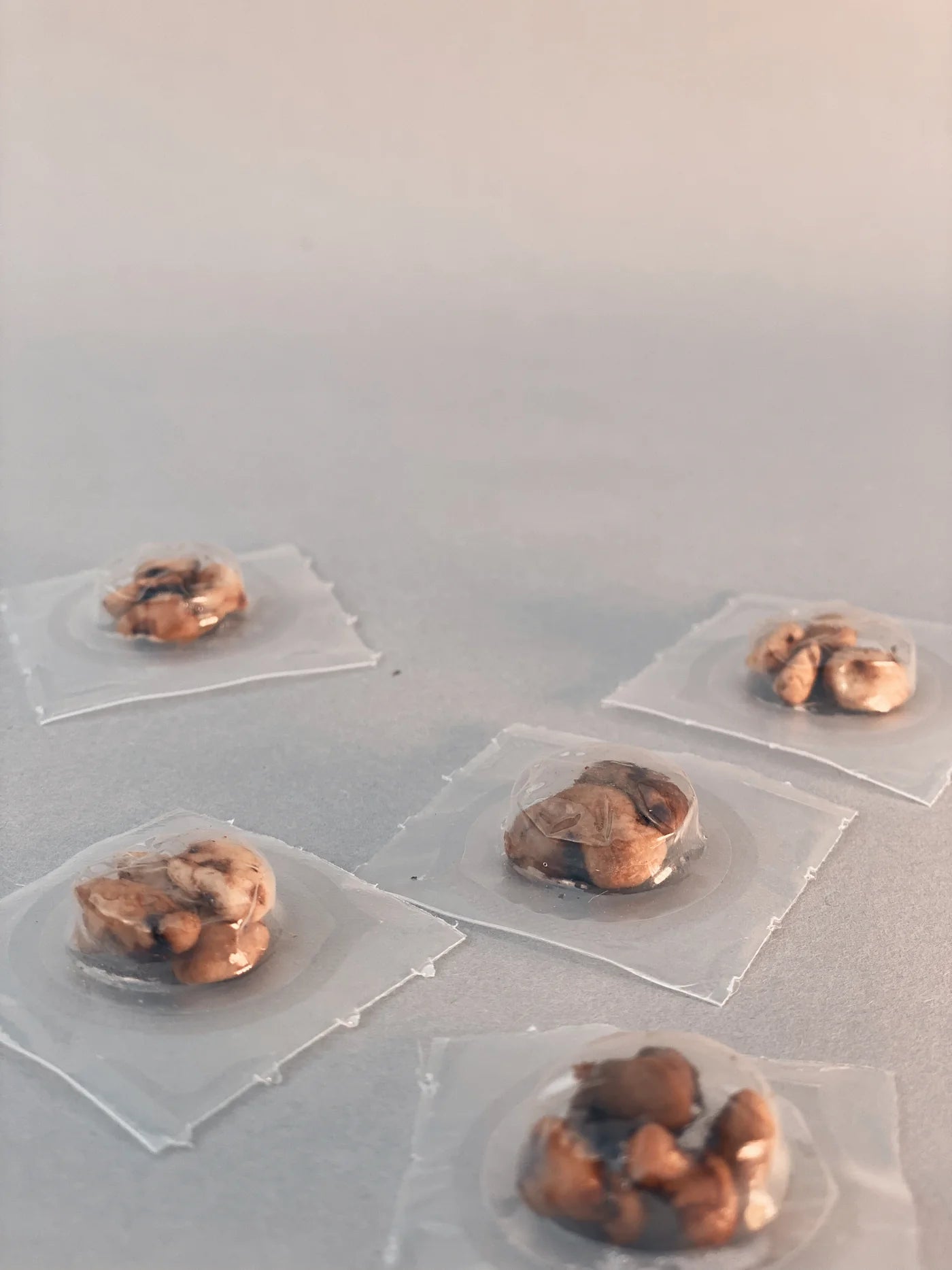 Brain Fitness Microdosing