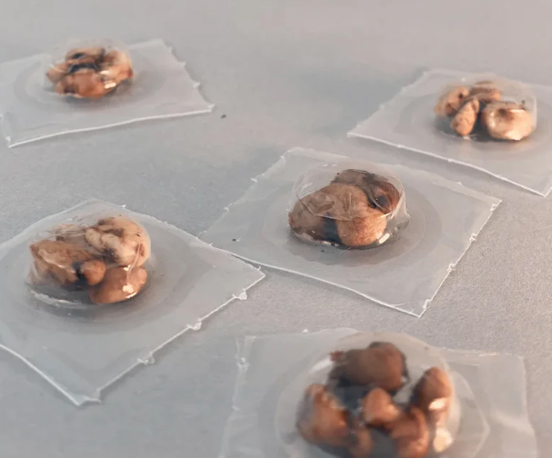 Microdosing