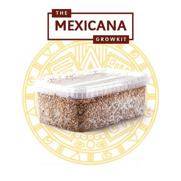 Mexicana Growkit