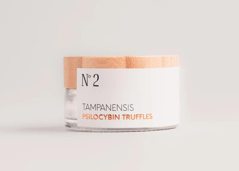 Functional creativity | Tampanensis