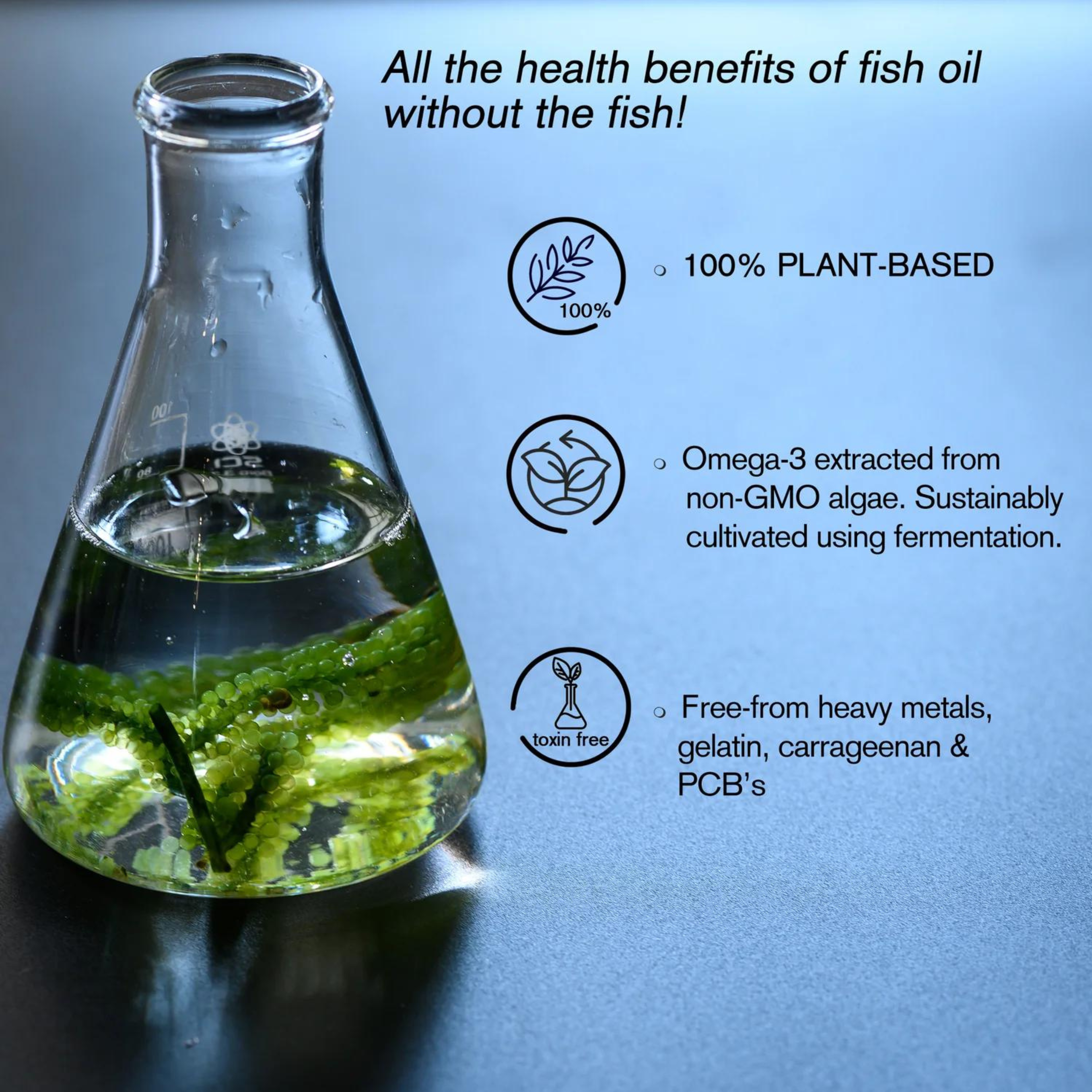 BrainFeed Vegan Omega-3 Capsules
