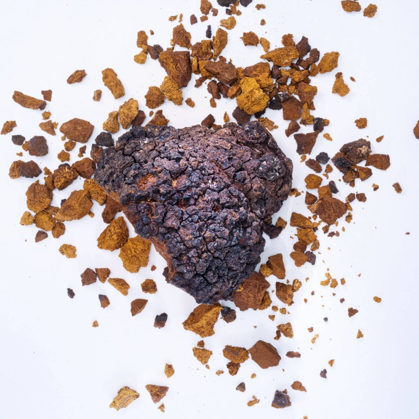 KÄÄPÄ Health Chaga - When Nature Calls