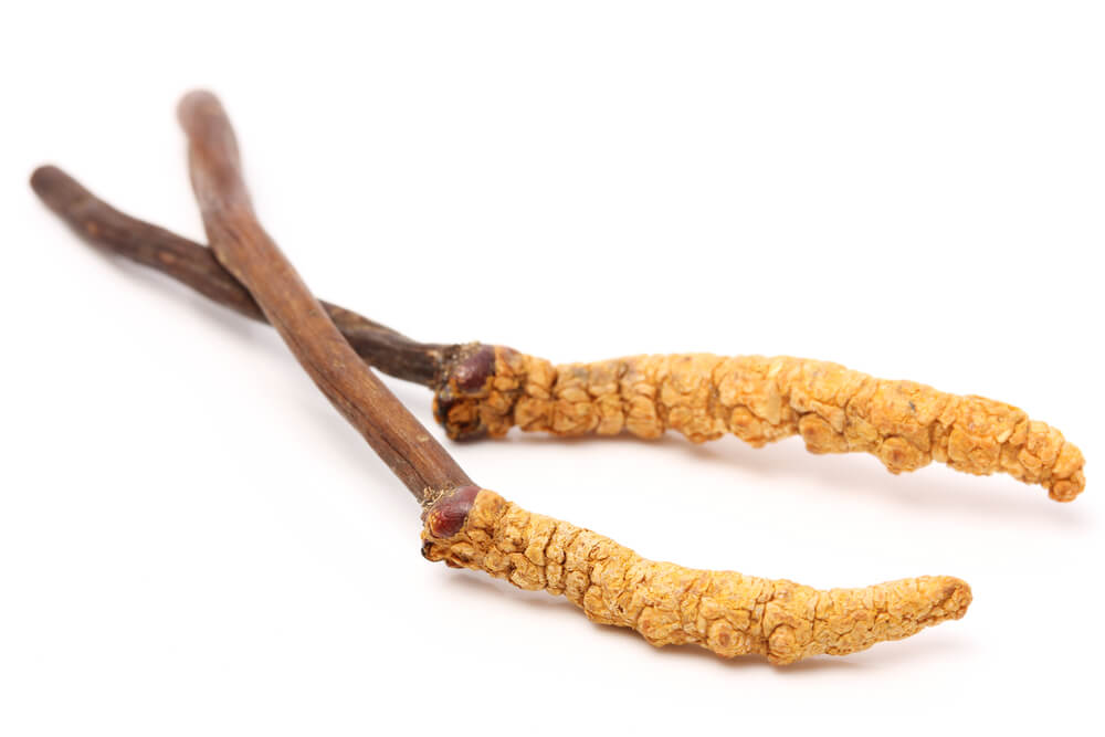 Cordyceps Functional Mushrooms When Nature Calls - When Nature Calls