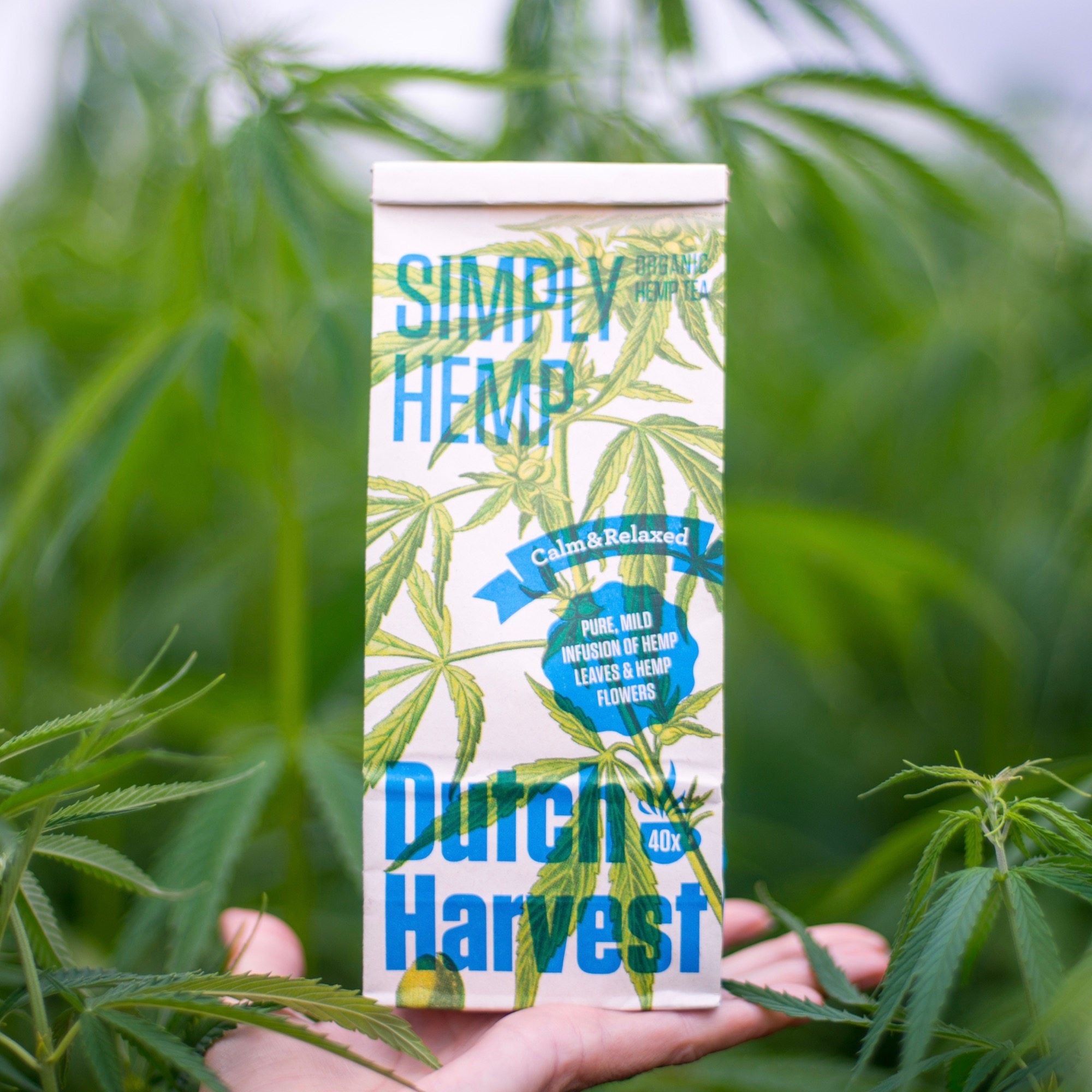 hemp leaves tea with cbd to relax