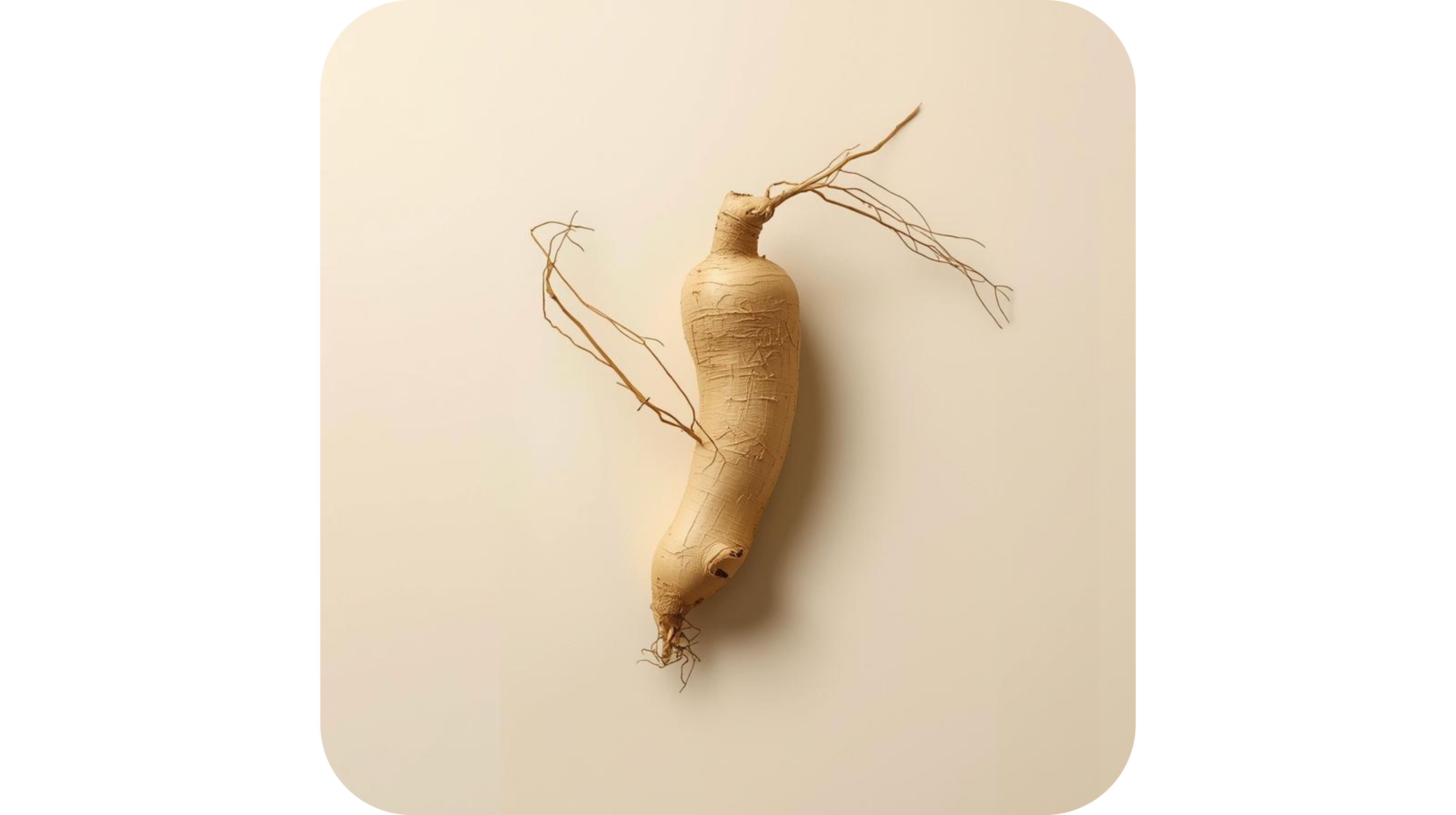 Ginseng