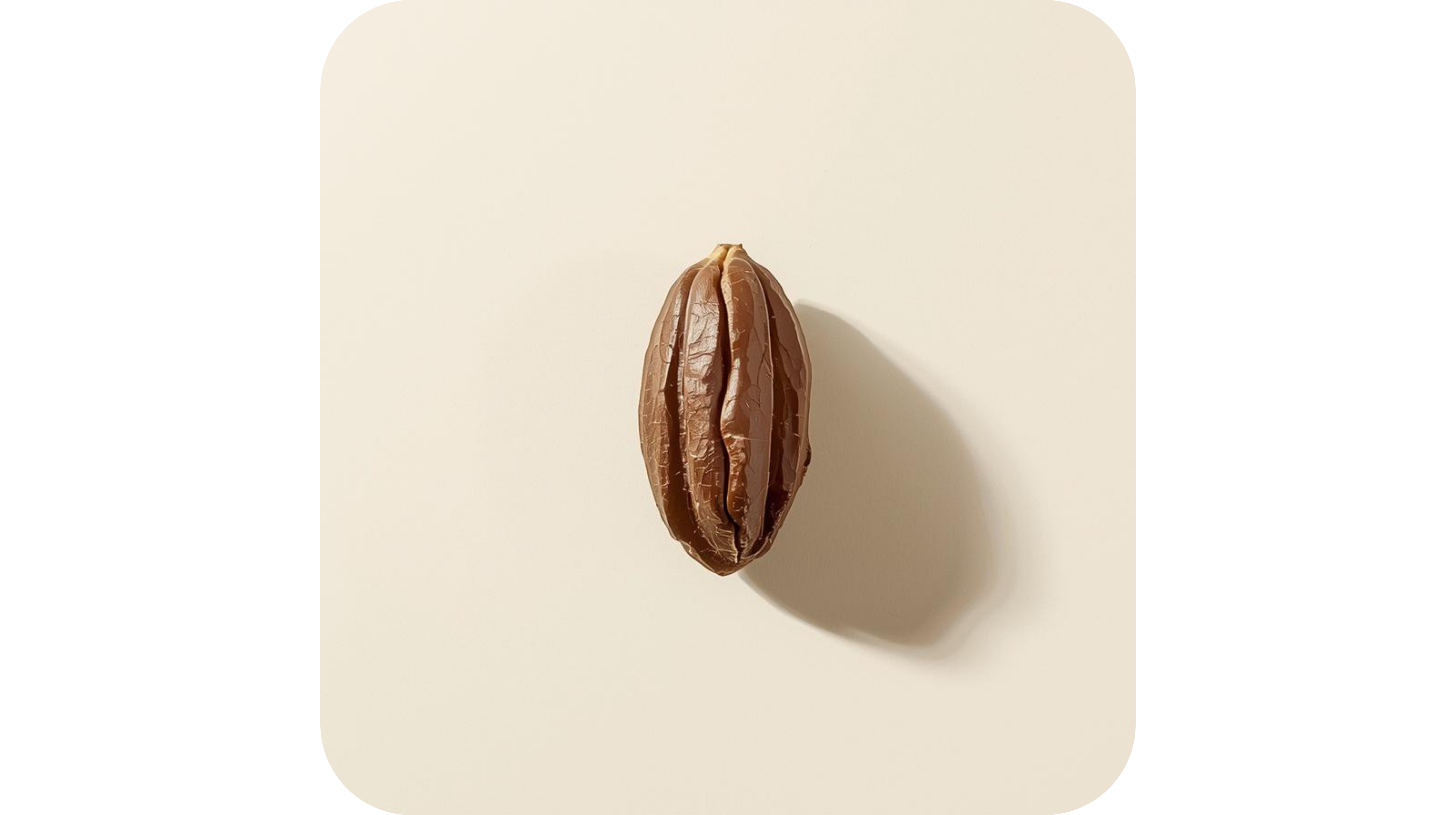 Cacao (Theobromine-rich varieties)