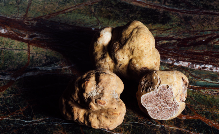 How to Consume Truffles