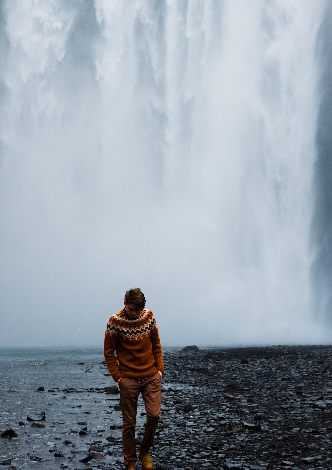 Curated for Immunity