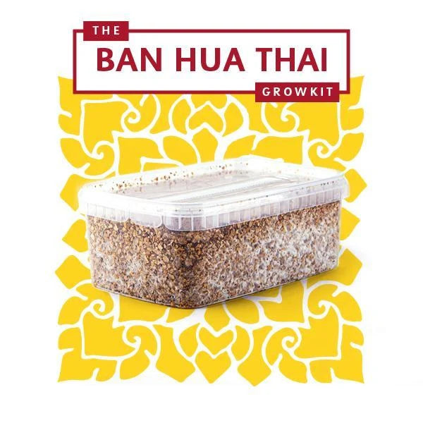 Growkit Ban Hua Thai