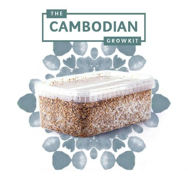 Cambodian Growkit