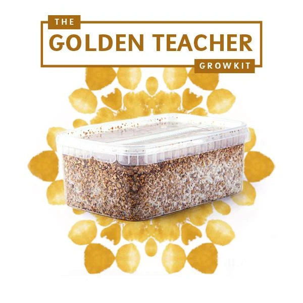 Golden Teacher Growkit