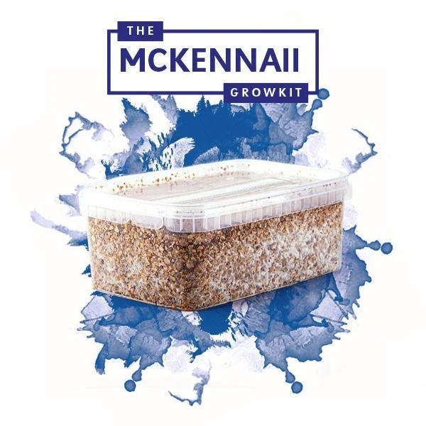 Mckennaii Growkit