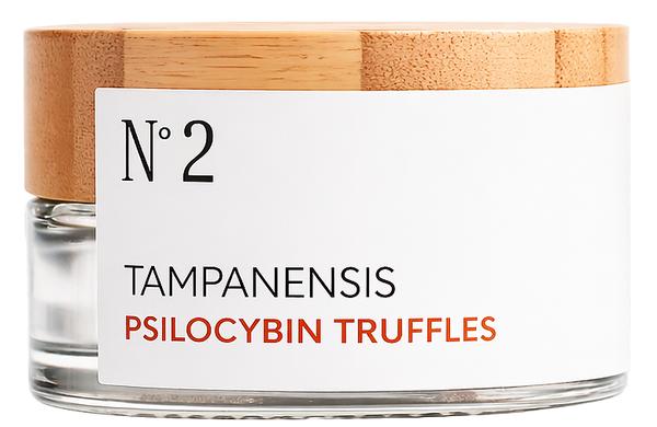 N°2 Functional creativity | Tampanensis