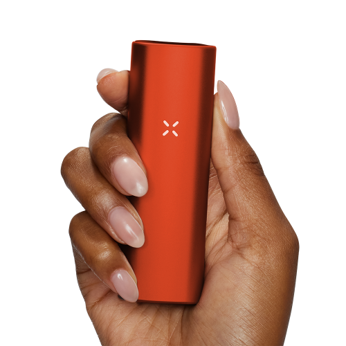 Pax Mini (Uniquement disponible en magasin)